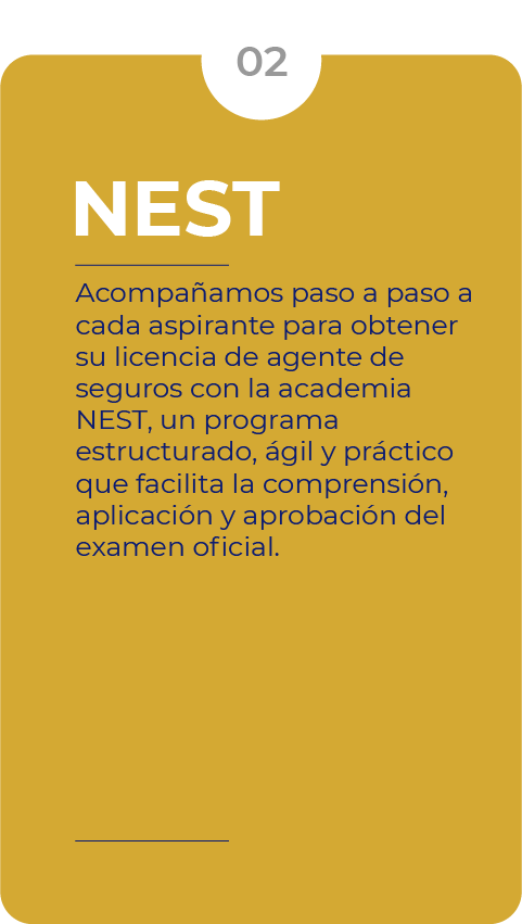 numero2